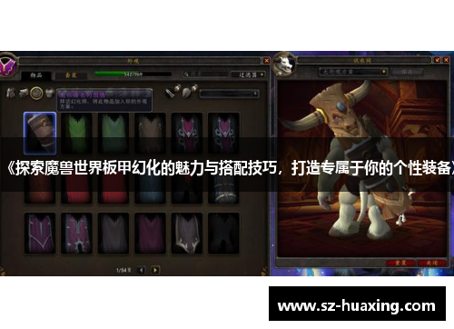 《探索魔兽世界板甲幻化的魅力与搭配技巧，打造专属于你的个性装备》